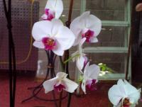 PICT0114 -1.jpg