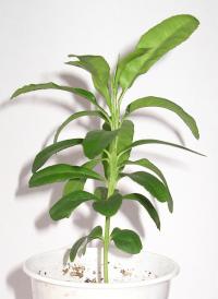 side_view.jpg