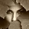 О проращивании семян граната и гранатовых сеянцах - последнее сообщение от Rina14